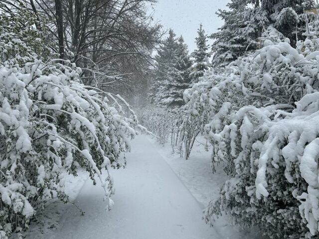 Червоний Хонда ХРВ, об'ємом двигуна 0 л та пробігом 42 тис. км за 18400 $, фото 13 на Automoto.ua