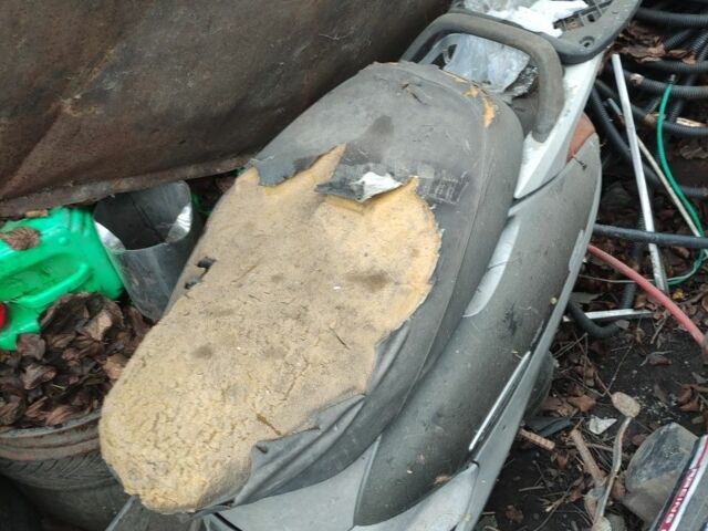 Хонда Леад, объемом двигателя 0 л и пробегом 0 тыс. км за 84 $, фото 2 на Automoto.ua