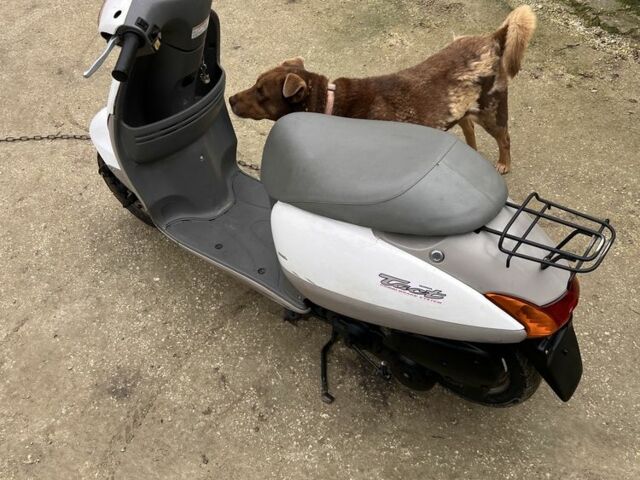 Хонда Такт, объемом двигателя 50 л и пробегом 0 тыс. км за 213 $, фото 4 на Automoto.ua