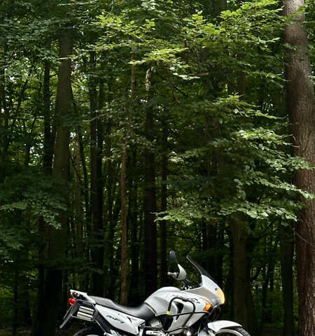 Хонда XL 650V Transalp 2001 в Львове на Automoto.ua Серый Хонда XL 650V Transalp, объемом двигателя 0.65 л и пробегом 68 тыс. км за 4600 $, фото 1 на Automoto.ua