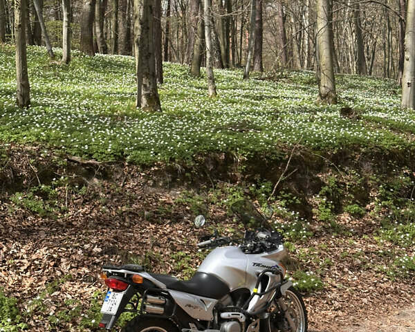 Хонда XL 650V Transalp 2001 в Львове на Automoto.ua Серый Хонда XL 650V Transalp, объемом двигателя 0.65 л и пробегом 68 тыс. км за 4600 $, фото 9 на Automoto.ua