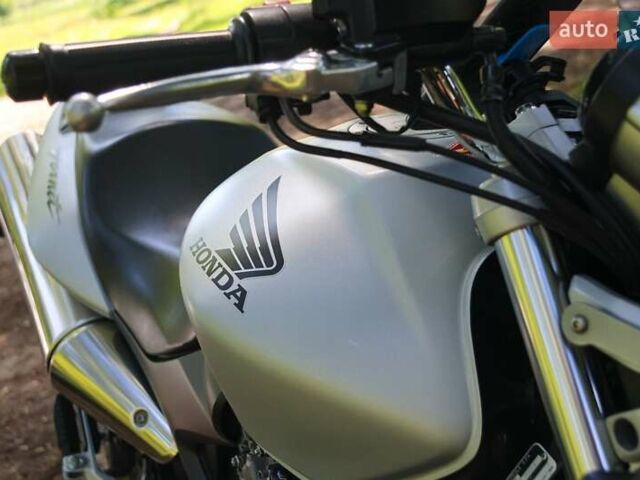 Серый Хонда CB 600F Hornet, объемом двигателя 0.6 л и пробегом 43 тыс. км за 4700 $, фото 1 на Automoto.ua