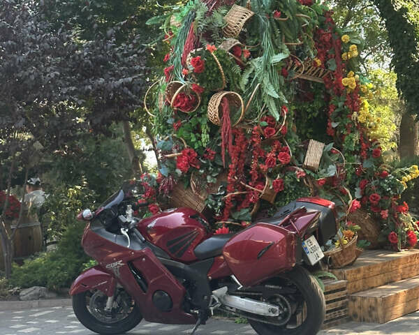 Червоний Хонда CBR 1100XX Blackbird, об'ємом двигуна 1.1 л та пробігом 74 тис. км за 6000 $, фото 7 на Automoto.ua