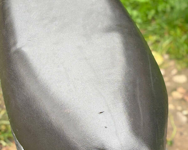 Черный Хонда Dio AF-18, объемом двигателя 0 л и пробегом 20 тыс. км за 110 $, фото 2 на Automoto.ua