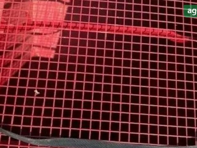 Хорш Пронто, объемом двигателя 0 л и пробегом 0 тыс. км за 42330 $, фото 9 на Automoto.ua