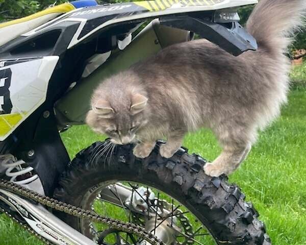 Хускварна FE 350, объемом двигателя 0 л и пробегом 100 тыс. км за 3800 $, фото 7 на Automoto.ua