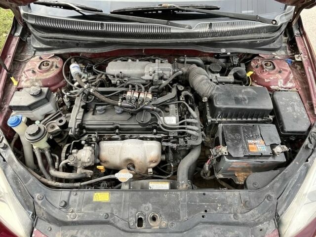 Хендай Акцент 2009 у Запоріжжя на Automoto.ua Червоний Хендай Акцент, об'ємом двигуна 1.4 л та пробігом 215 тис. км за 4250 $, фото 16 на Automoto.ua