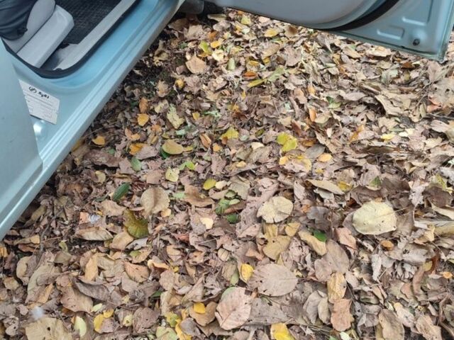 Синий Хендай Акцент, объемом двигателя 1.4 л и пробегом 239 тыс. км за 4100 $, фото 4 на Automoto.ua