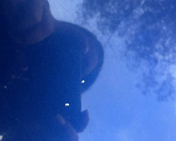 Синий Хендай Акцент, объемом двигателя 1.4 л и пробегом 127 тыс. км за 7000 $, фото 4 на Automoto.ua