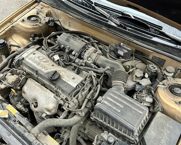 Хендай Элантра 2004 в Сумах на Automoto.ua Бежевый Хендай Элантра, объемом двигателя 1.6 л и пробегом 83 тыс. км за 5700 $, фото 23 на Automoto.ua