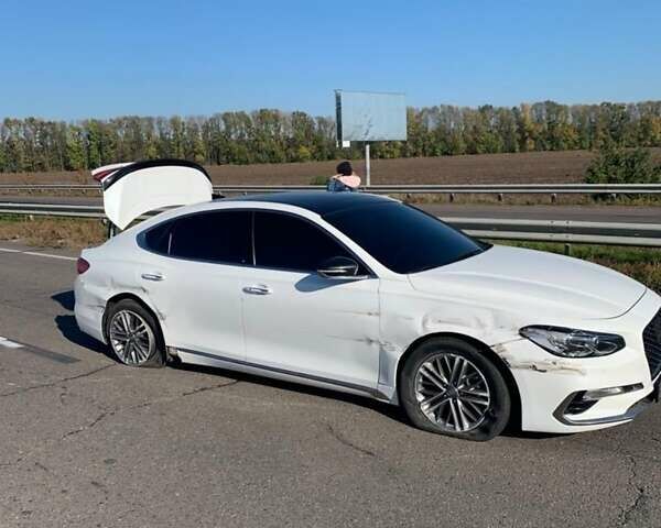 Белый Хендай Грандер, объемом двигателя 3 л и пробегом 178 тыс. км за 14500 $, фото 23 на Automoto.ua