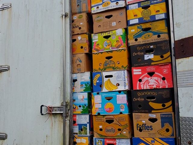 Хендай НД, об'ємом двигуна 3.9 л та пробігом 0 тис. км за 2500 $, фото 10 на Automoto.ua