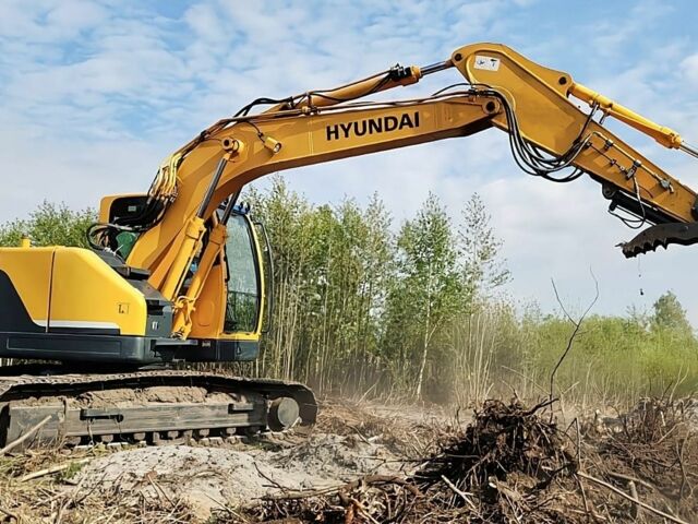 Жовтий Хендай Робекс, об'ємом двигуна 0 л та пробігом 0 тис. км за 63755 $, фото 3 на Automoto.ua