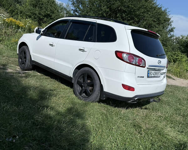Хендай Санта Фе 2011 в Кременце на Automoto.ua Белый Хендай Санта Фе, объемом двигателя 2.2 л и пробегом 263 тыс. км за 12600 $, фото 6 на Automoto.ua