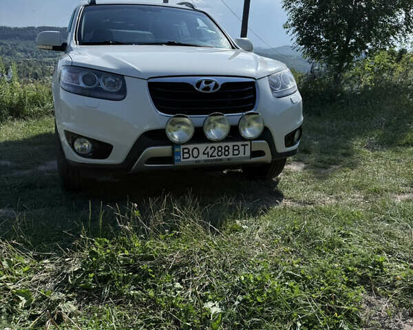 Хендай Санта Фе 2011 в Кременце на Automoto.ua Белый Хендай Санта Фе, объемом двигателя 2.2 л и пробегом 263 тыс. км за 12600 $, фото 2 на Automoto.ua