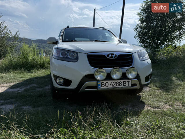 Хендай Санта Фе 2011 в Кременце на Automoto.ua Белый Хендай Санта Фе, объемом двигателя 2.2 л и пробегом 263 тыс. км за 12600 $, фото 10 на Automoto.ua
