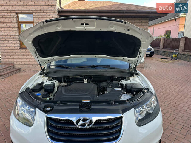 Хендай Санта Фе 2011 у Умани на Automoto.ua Білий Хендай Санта Фе, об'ємом двигуна 2.2 л та пробігом 147 тис. км за 14000 $, фото 33 на Automoto.ua