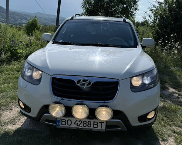 Хендай Санта Фе 2011 в Кременце на Automoto.ua Белый Хендай Санта Фе, объемом двигателя 2.2 л и пробегом 263 тыс. км за 12600 $, фото 1 на Automoto.ua