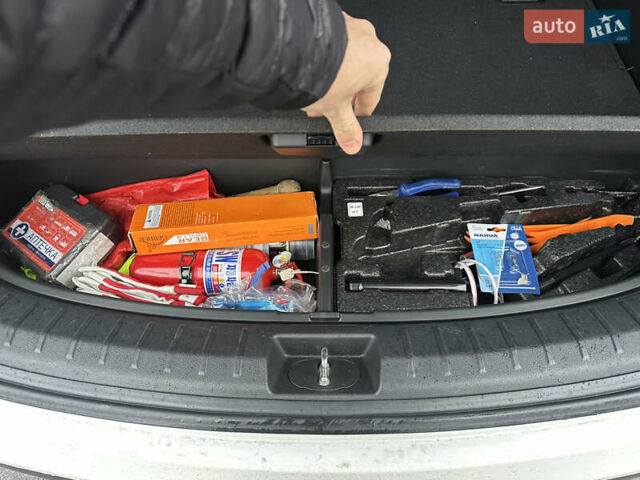 Белый Хендай Санта Фе, объемом двигателя 2.2 л и пробегом 120 тыс. км за 16500 $, фото 34 на Automoto.ua