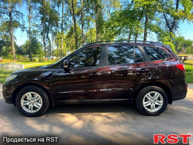 Хендай Санта Фе 2013 в Ахтырке на Automoto.ua Фиолетовый Хендай Санта Фе, объемом двигателя 2.2 л и пробегом 185 тыс. км за 11480 $, фото 2 на Automoto.ua