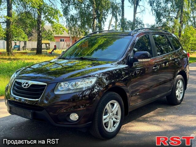 Хендай Санта Фе 2013 в Ахтырке на Automoto.ua Фиолетовый Хендай Санта Фе, объемом двигателя 2.2 л и пробегом 185 тыс. км за 11480 $, фото 1 на Automoto.ua