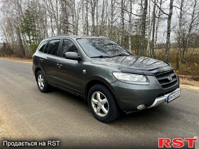 Серый Хендай Санта Фе, объемом двигателя 2.2 л и пробегом 243 тыс. км за 8800 $, фото 6 на Automoto.ua