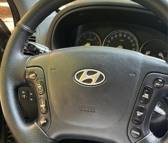 Серый Хендай Санта Фе, объемом двигателя 2.2 л и пробегом 320 тыс. км за 9800 $, фото 16 на Automoto.ua