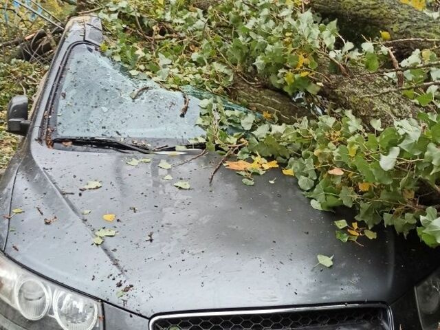 Серый Хендай Санта Фе, объемом двигателя 2.2 л и пробегом 170 тыс. км за 5000 $, фото 7 на Automoto.ua