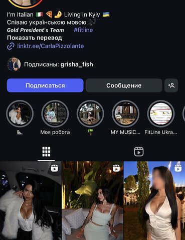 Серый Хендай Санта Фе, объемом двигателя 2.2 л и пробегом 146 тыс. км за 22000 $, фото 14 на Automoto.ua