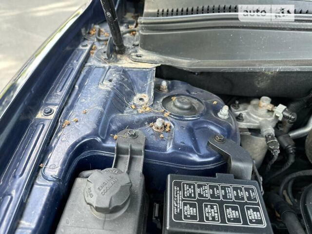 Синий Хендай Санта Фе, объемом двигателя 2.2 л и пробегом 187 тыс. км за 10500 $, фото 69 на Automoto.ua