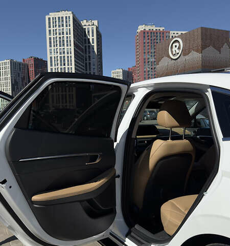 Белый Хендай Соната, объемом двигателя 2 л и пробегом 70 тыс. км за 26900 $, фото 11 на Automoto.ua