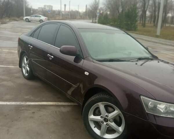 Коричневый Хендай Соната, объемом двигателя 2.4 л и пробегом 408 тыс. км за 5300 $, фото 4 на Automoto.ua