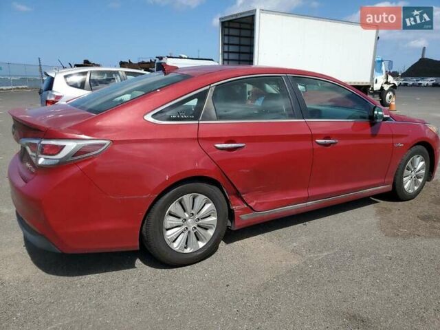 Хендай Соната 2015 в Львове на Automoto.ua Красный Хендай Соната, объемом двигателя 2 л и пробегом 140 тыс. км за 1600 $, фото 2 на Automoto.ua