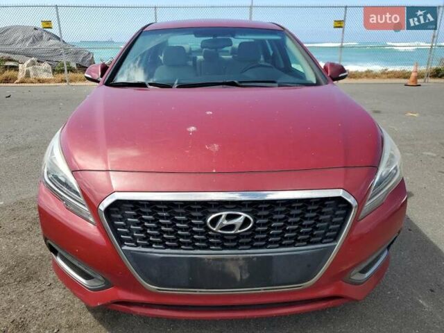 Хендай Соната 2015 в Львове на Automoto.ua Красный Хендай Соната, объемом двигателя 2 л и пробегом 140 тыс. км за 1600 $, фото 4 на Automoto.ua