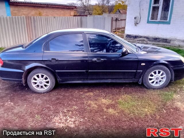 Хендай Соната, объемом двигателя 2 л и пробегом 0 тыс. км за 2000 $, фото 4 на Automoto.ua