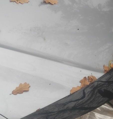 Серый Хендай Соната, объемом двигателя 2 л и пробегом 230 тыс. км за 4500 $, фото 5 на Automoto.ua