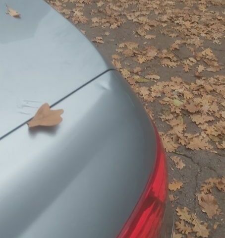 Серый Хендай Соната, объемом двигателя 2 л и пробегом 230 тыс. км за 4500 $, фото 6 на Automoto.ua