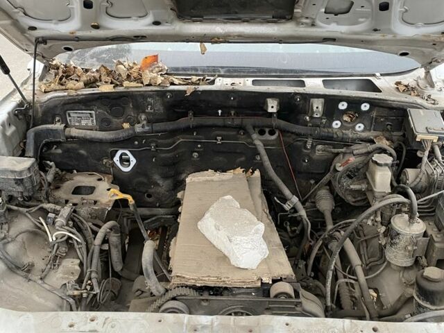 Хендай Терракан 2003 у Києві на Automoto.ua Зелений Хендай Терракан, об'ємом двигуна 2.9 л та пробігом 230 тис. км за 900 $, фото 1 на Automoto.ua