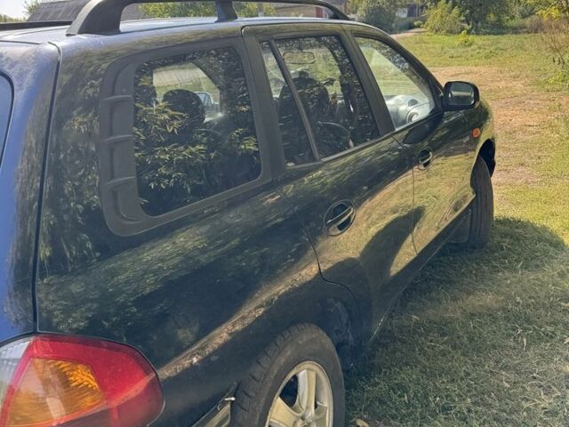 Синій Хендай Траджет, об'ємом двигуна 0 л та пробігом 3 тис. км за 2500 $, фото 5 на Automoto.ua