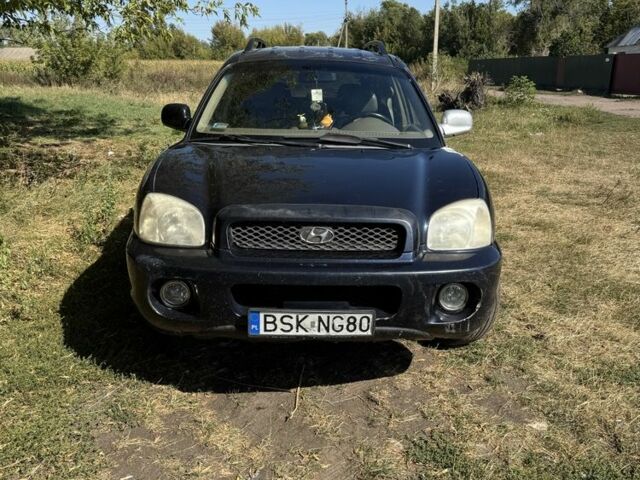 Синій Хендай Траджет, об'ємом двигуна 0 л та пробігом 3 тис. км за 2500 $, фото 2 на Automoto.ua