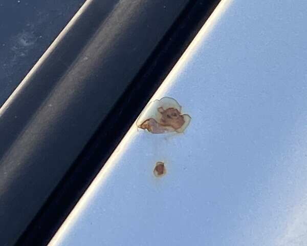 Зелений Хендай Туксон, об'ємом двигуна 1.98 л та пробігом 330 тис. км за 7000 $, фото 31 на Automoto.ua