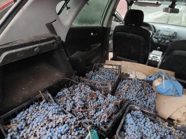 Сірий Хендай i30, об'ємом двигуна 1.4 л та пробігом 270 тис. км за 2900 $, фото 7 на Automoto.ua