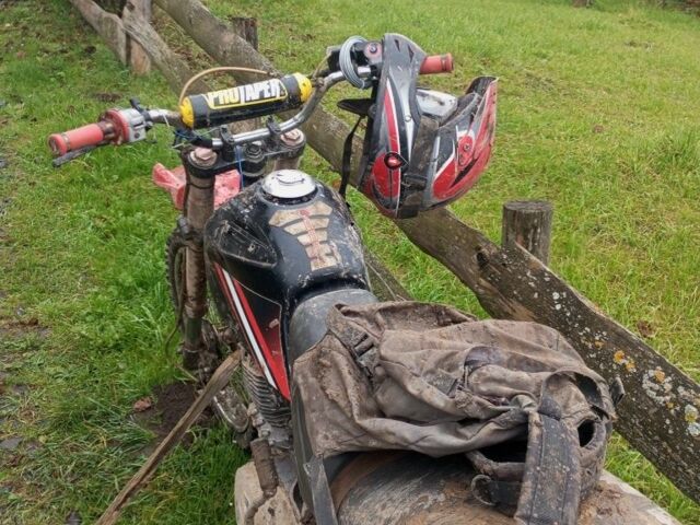 ИЖ Другая, объемом двигателя 0.35 л и пробегом 0 тыс. км за 478 $, фото 2 на Automoto.ua