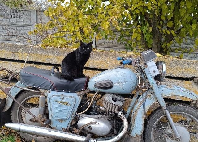 ИЖ Другая, объемом двигателя 0.35 л и пробегом 0 тыс. км за 143 $, фото 2 на Automoto.ua