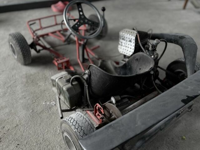 ИЖ Другая, объемом двигателя 14.86 л и пробегом 0 тыс. км за 25000 $, фото 2 на Automoto.ua