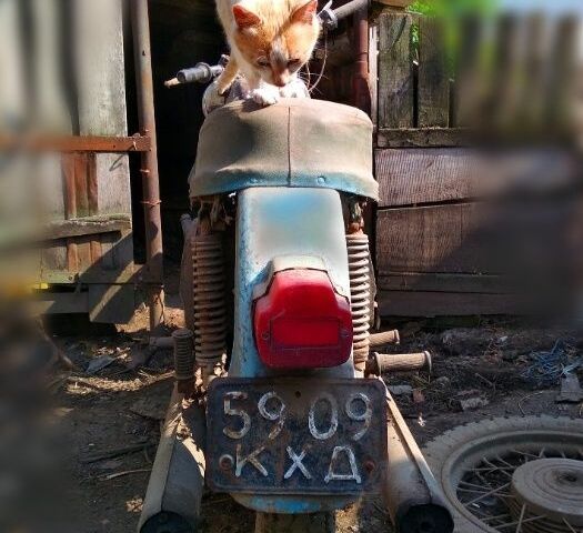 ИЖ Другая, объемом двигателя 0.35 л и пробегом 0 тыс. км за 234 $, фото 3 на Automoto.ua