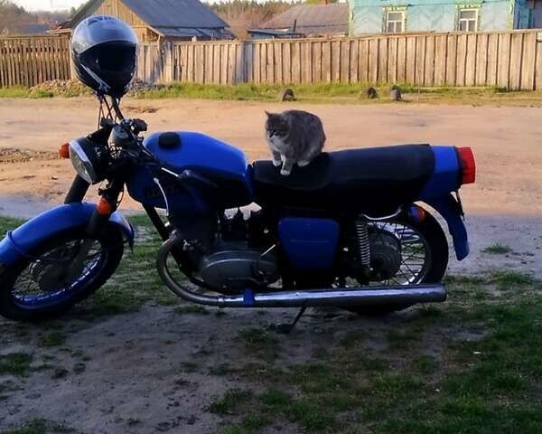 Синий ИЖ Планета 3, объемом двигателя 0.35 л и пробегом 21 тыс. км за 250 $, фото 2 на Automoto.ua