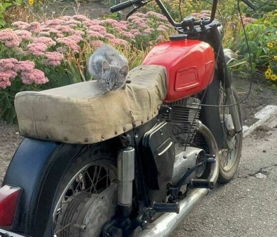 ИЖ Планета, объемом двигателя 0.35 л и пробегом 0 тыс. км за 356 $, фото 3 на Automoto.ua