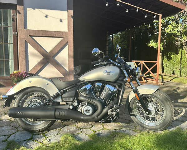 Серый Индиан Scout, объемом двигателя 1.25 л и пробегом 1 тыс. км за 18800 $, фото 17 на Automoto.ua