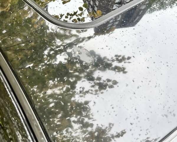 Черный Инфинити G37, объемом двигателя 3.7 л и пробегом 213 тыс. км за 10000 $, фото 11 на Automoto.ua